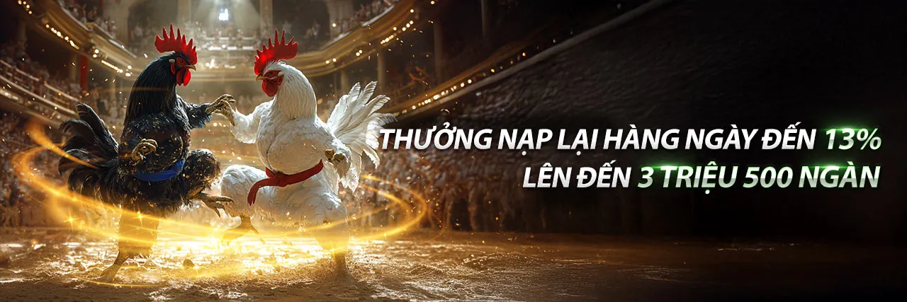Đá gà Thomo trực tiếp CPC1 sôi động